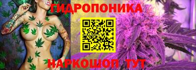 эйфоретик Кинель
