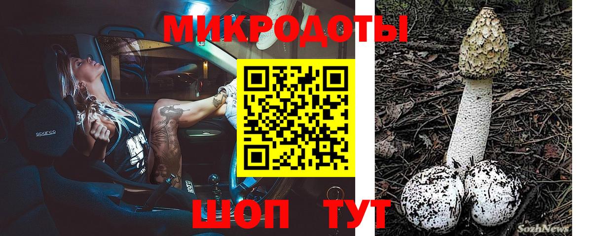 купить наркотики цена  Галлюциногенные грибы MAGIC MUSHROOMS  Вход с VPN  Щёлково 